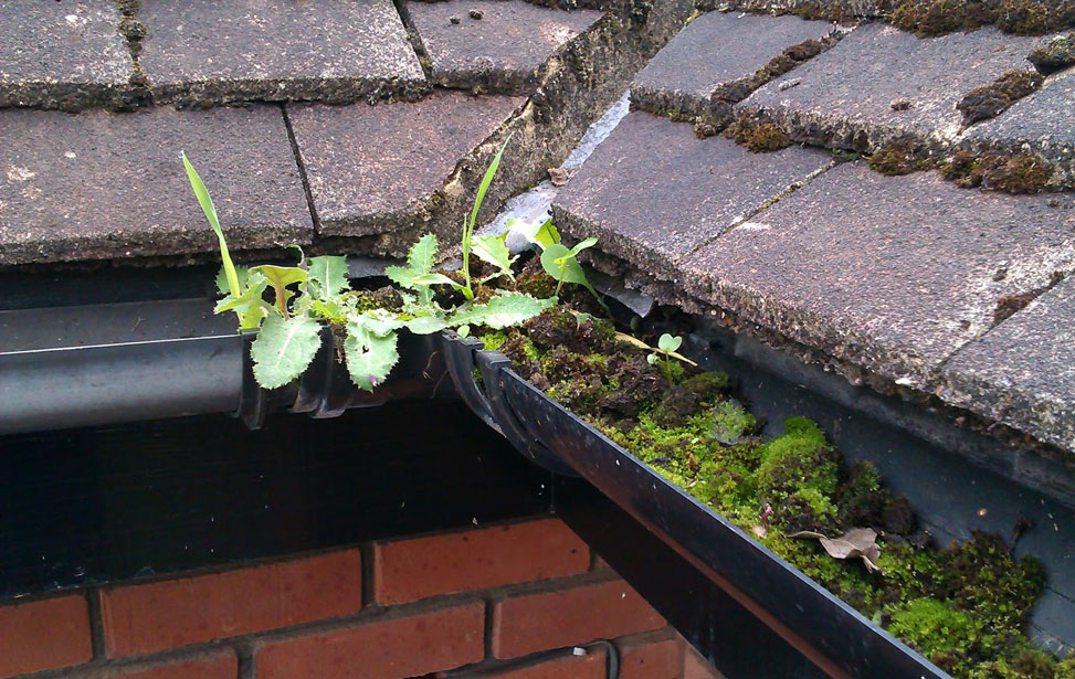 Gutter cleaning Essex