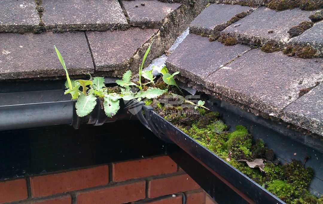 Gutter Cleaning Services Essex