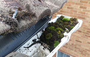 Gutter Clearing