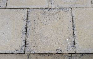 Removing Black Spots from Patios