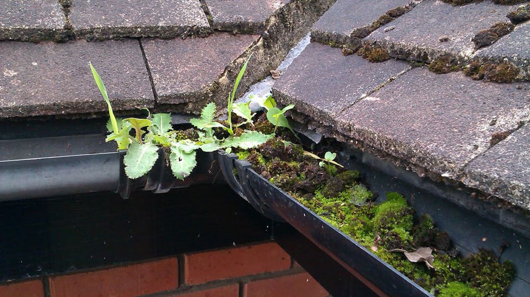 Gutter cleaning Essex