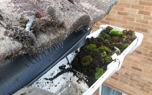 Essex Gutter Clearance