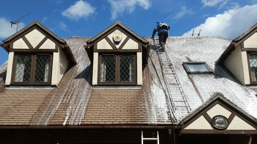 Roof softwash cleaning Essex