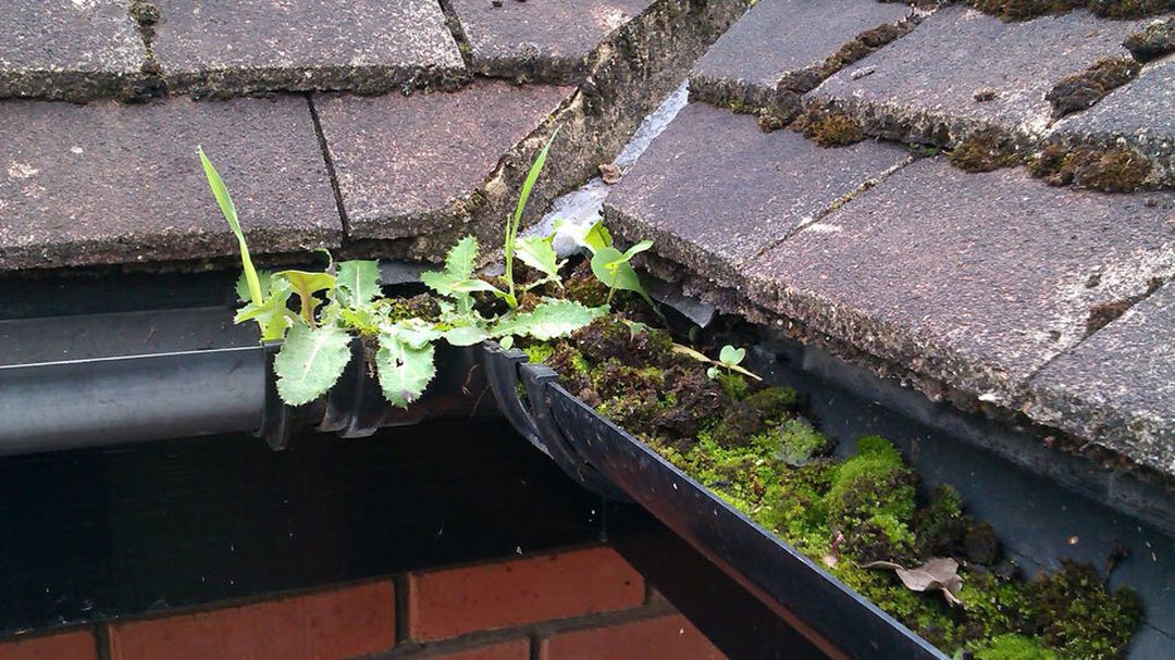 Gutter cleaning Essex