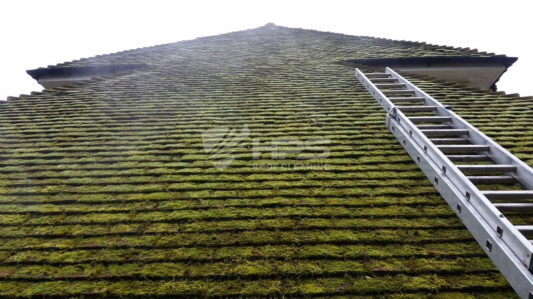 Clay roof tile cleaning Essex