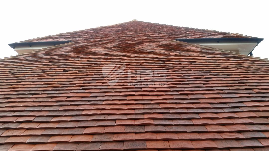 Roof Softwash with cherry picker