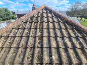 Moss removal on roof Essex