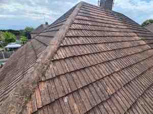 Roof moss removed Essex