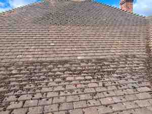 Roof tile moss party removal