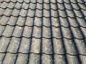 Concrete roof tile moss removal Essex