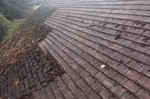 Removing moss from roof tiles