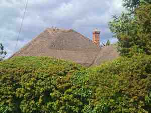 Roof moss removal in Essex