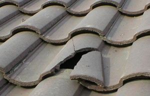 Broken roof tile Essex